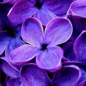 Meet your Posher, Kay